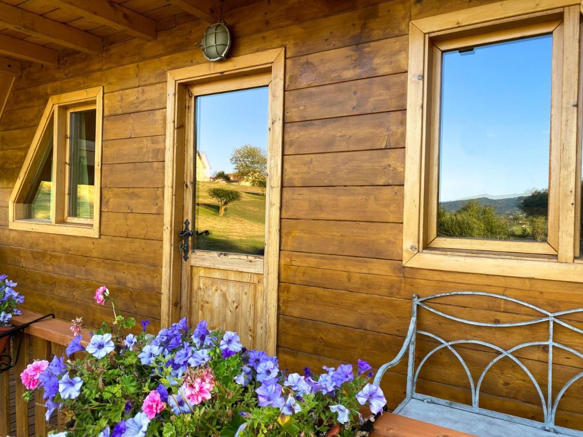 Agri Camp Dolomiti Apartment Belluno Exterior photo