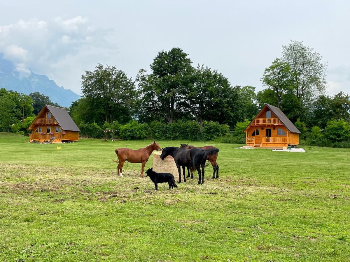 Agri Camp Dolomiti Apartment Belluno Exterior photo