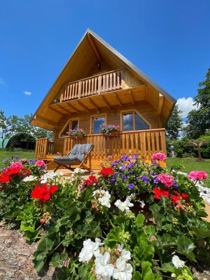 Agri Camp Dolomiti Apartment Belluno Exterior photo